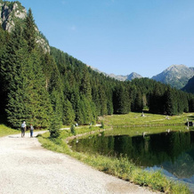Albergo Chalet Abete Rosso, 卡斯泰洛泰西诺 — 照片 3