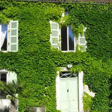 Chambres d'Hôtes Moulin de Masvicomteaux, 农特龙 — 照片 5