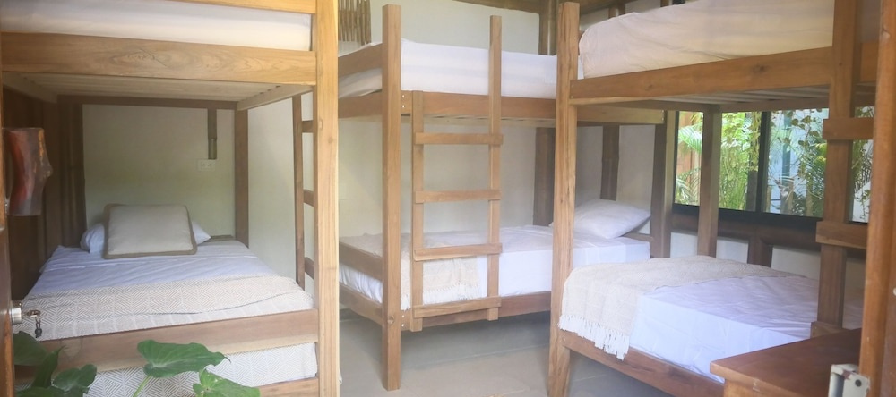 Dream Surf House Santa Teresa, 埃尔莫萨 — 照片 1