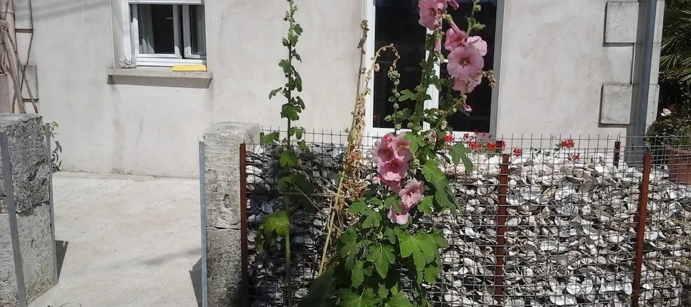 Apartment With One Bedroom In Mortagne-sur-gironde, With Furnished Garden And Wifi - 12 Km From The Beach, Mortagne-sur-Gironde — photo 1