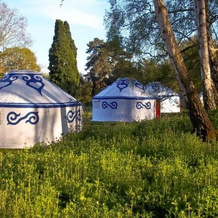 Plush Tents Glamping, Чичестер — фото 5