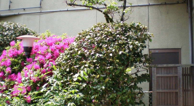 Uetoh Ryokan, Gifu — photo 1