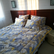 Metelitsa Guest house, Klin — photo 5