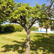 Sunlit Bungalow With Private Pool in Nadaillac-de-rouge, 纳达亚克-德鲁日 — 照片 4