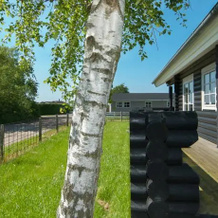 Holiday Home Mesinge DA-213, Mesinge — photo 2