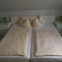 Hotel-Gasthof Grüner Hof, Freising — photo 5