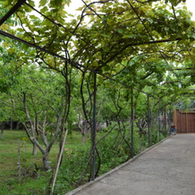 Saguramo Garden Guest House, 萨古拉莫 — 照片 5