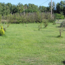 Gîte de Closeure, Bourre — photo 2