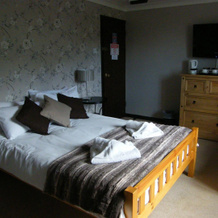 The Swan at Stoford, 斯托福德 — 照片 3