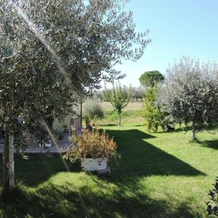 La Casa Di Marco E Lorella, Fratta Todina — photo 2