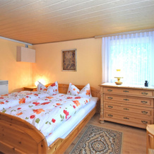 Luxury Cottage in Grunbach Saxony near Lake, Grunbach — photo 4
