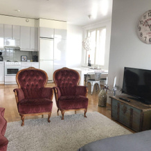 Sauna Apartment in the Heart of the City, Jyvaskyla — photo 3