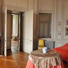 Château de Saint-Fargeau, 圣法尔若 — 照片 3