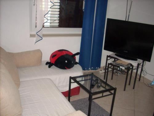 Apartments Kraljev, 滨海比奥格勒 — 照片 1