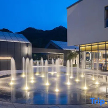 Springwoods Club Palm Tree Hotel, 黑岩 — 照片 2
