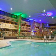 Holiday Inn Rolling Meadows-Schaumburg Area, Роллинг Медоус — фото 5