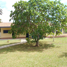 Anavilhanas Jungle Lodge, Novo Airao — photo 3