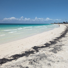 Sol Cayo Coco, 可可岛 — 照片 4