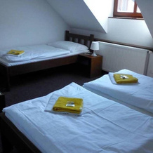 Libínské Sedlo Guesthouse, 普拉哈季采 — 照片 4