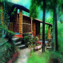 Tathaghat Farm Guest House, 大吉岭 — 照片 3