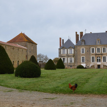 Château Des Noces, Базож-ан-Паре — фото 3