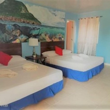 Malapascua Beach and Dive Resort, Daanbantayan — photo 4