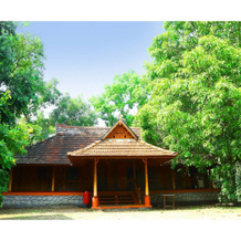 Santhi Yoga International, Тходупужа — фото 5