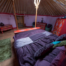Lincoln Yurts, Gainsborough — photo 4