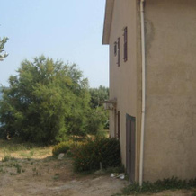 Apartments Zmaj, 扎瓦拉 — 照片 5