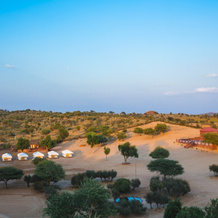 Rohida Luxury Desert Safari Camp Osian, Осиян — фото 2