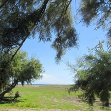 Camping Miami Plage, Поджо-Меццана — фото 5