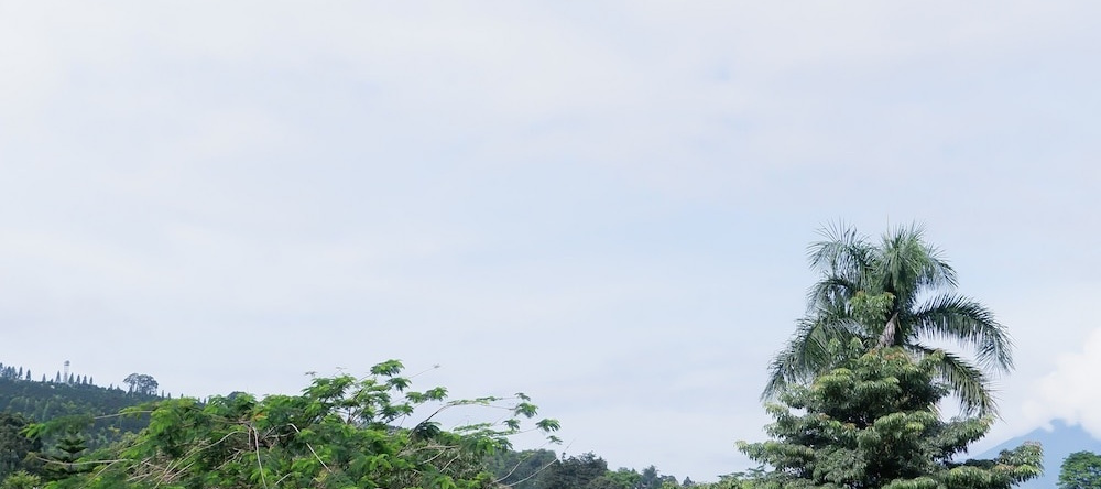 Azana Green Peak Resort & Convention, Cisarua — photo 1