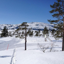 Vrådal Panorama - Tiuråsvegen 39, 莫格达尔 — 照片 5