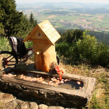 Nichtraucher-Ferienhotel Hohen Bogen, 诺伊基兴拜姆海利根布卢特 — 照片 5