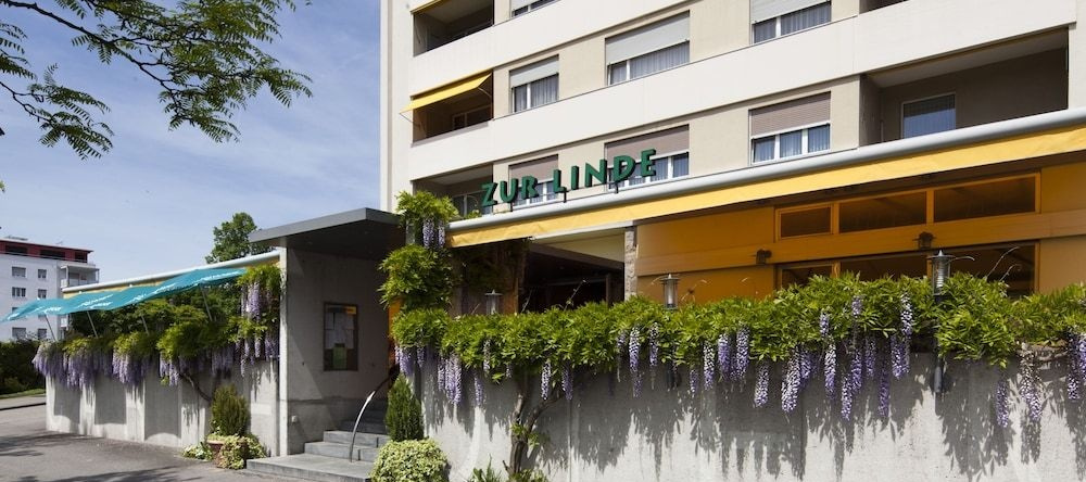 Hotel Gasthaus zur Linde, 施泰因豪森 — 照片 1