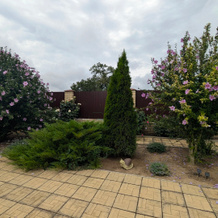 Solnechniy Living quarters, 韦谢洛夫卡 — 照片 4
