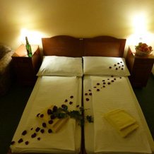 Hotel Korunní Princ, 图尔诺夫 — 照片 3