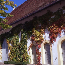 Markgräflich Badischer Gasthof Schwanen, 塞勒姆 — 照片 4