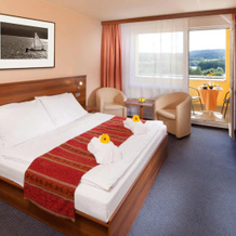 Wellness Hotel Frymburk, Фримбурк — фото 3