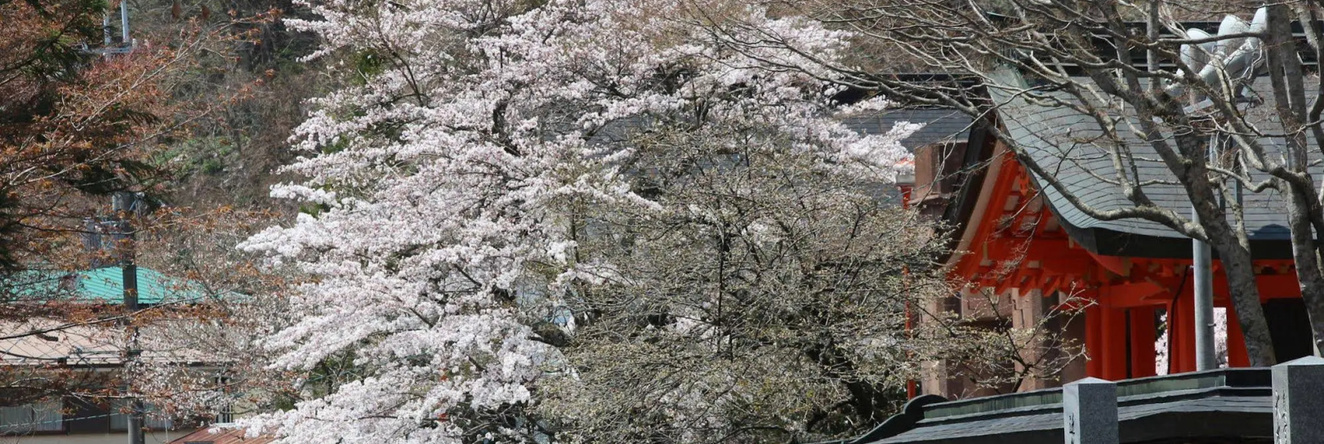 Atarashiya Ryokan - Dorogawa-onsen Hot Spring, Kashihara — photo 1