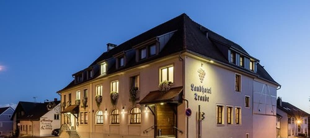 Landhotel Traube, Констанц — фото 1