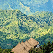 El Dorado ProAves Reserve, 明卡 — 照片 4