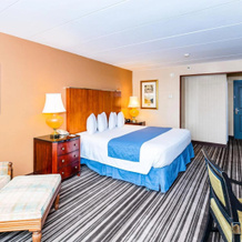 Metro Points Hotel, 新卡罗尔顿 — 照片 3