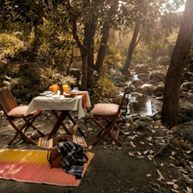 Ranger Reserve Resort, Наинитал — фото 4