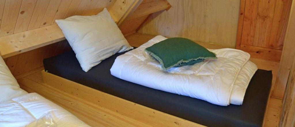 Camping De Koeksebelt, Ommen — photo 1