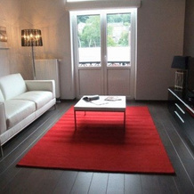 Appart Hotel Simi, Liege — photo 5