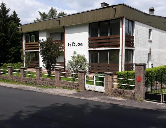 Résidence le Faucon - Col du Donon, 格朗方丹 — 照片 1