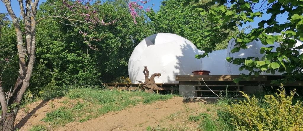 Domaine QUIESCIS, Marcellus — photo 1