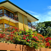 Ficus Sunset Suites, Monteverde — photo 2