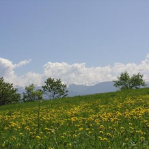 Agriturismo Girasole, 法伊德拉帕加内拉 — 照片 4